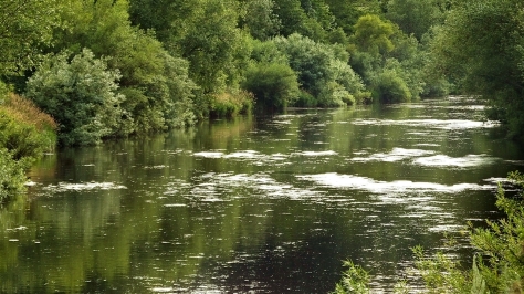 Rzeka Wye