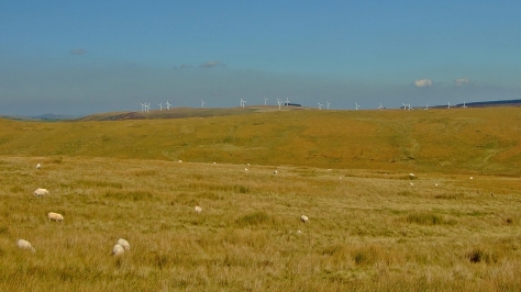 Bryn Titli Wind Farm